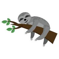 Sloth sleeping on a branch, cute gray animal with closed eyes on a brown branch with leaves in flat style vector