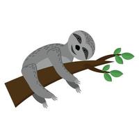 Sloth on a branch, cute animal of gray color in flat style, brown branch with leaves, sleepy animal vector