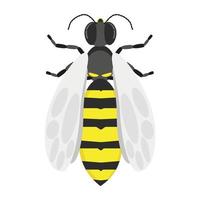 Wasp, a stinging striped insect with light wings, a symbol of strength and aggression, a flying insect with yellow stripes vector