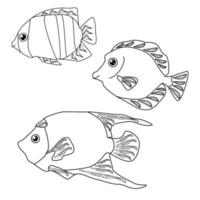 Set of three tropical fish with fantasy patterns on fins, coloring book for children about aquatic inhabitants, vector outline illustration