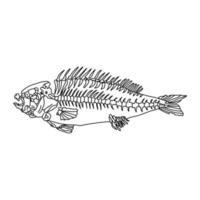 Perch skeleton, schematic representation of river fish bones, biological object vector