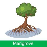 Mangrove cartoon tree vector