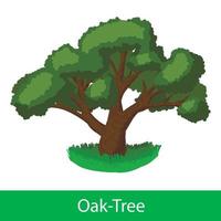 Oak Tree cartoon icon vector