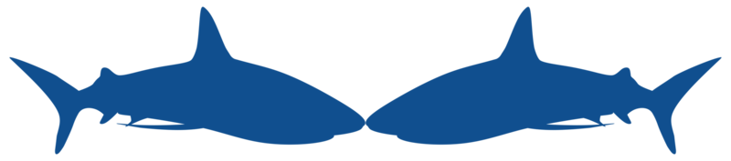 silueta de tiburón para logotipo, pictograma, sitio web, ilustración de arte, infografía o elemento de diseño gráfico. formato png