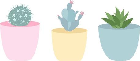 suculentas y cactus en macetas. jardinería doméstica y cultivo de plantas de interior. elementos de decoración interior del hogar vector