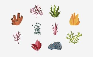 Marine Plants vector in flat design