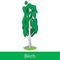 Birch cartoon tree vector