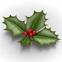 3d christmas holly leaf on isolated white background. Holiday, celebration, december, merry christmas photo