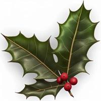 3d christmas holly leaf on isolated white background. Holiday, celebration, december, merry christmas photo