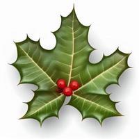 3d christmas holly leaf on isolated white background. Holiday, celebration, december, merry christmas photo