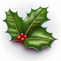 3d christmas holly leaf on isolated white background. Holiday, celebration, december, merry christmas photo