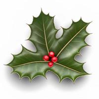 3d christmas holly leaf on isolated white background. Holiday, celebration, december, merry christmas photo