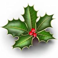 3d christmas holly leaf on isolated white background. Holiday, celebration, december, merry christmas photo