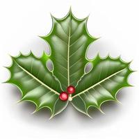 3d christmas holly leaf on isolated white background. Holiday, celebration, december, merry christmas photo