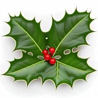 3d christmas holly leaf on isolated white background. Holiday, celebration, december, merry christmas photo