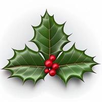 3d christmas holly leaf on isolated white background. Holiday, celebration, december, merry christmas photo