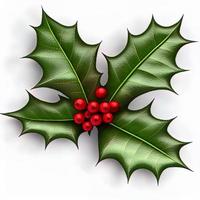 3d christmas holly leaf on isolated white background. Holiday, celebration, december, merry christmas photo