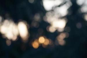 Abstract blur photo of coconut trees and branches in the morning with sunrise background