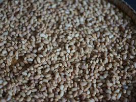 texture of soy bean for HOW to Soy Product Raw Homemade Tempeh . Concept of Healthy Vegetarian Food photo