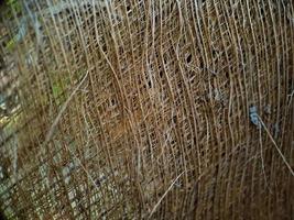 Close up of a coconut coir structure, shot on a coconut fiber tree, brown natural background for consumption and environmental production. commonly used for car seats, mattresses photo