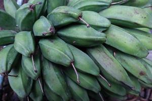 A bunch of green raw banana photo