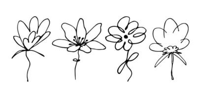 Simple flower clipart. Set of hand drawn floral doodle. For print, web, design, decor, logo vector