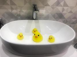 Beautiful yellow rubber toy ducks for the bathroom sit in the washbasin photo