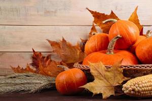 Happy Thanksgiving Day. Ripe orange pumpkins, wheat and corn on brown wooden background. photo