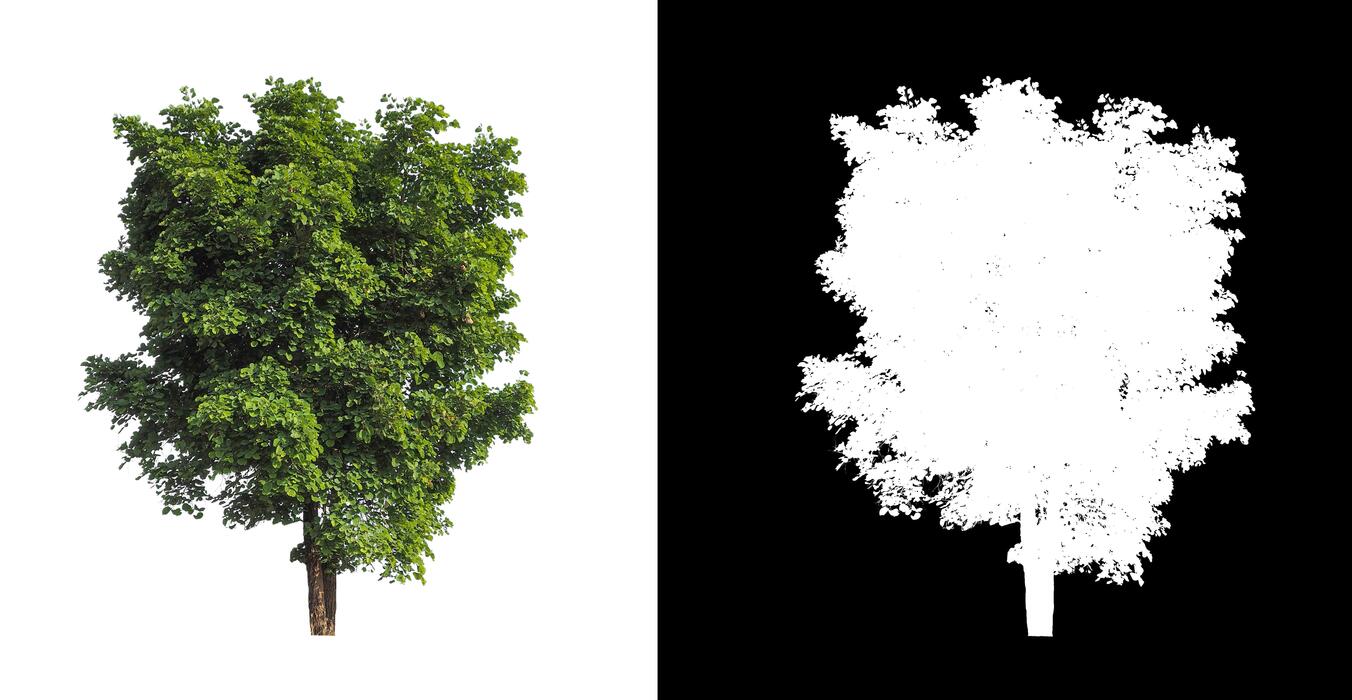 Tree Layout Stock Photos, Images and Backgrounds for Free Download