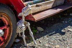 Plastic Dog Skeleton In Old Junk Yard