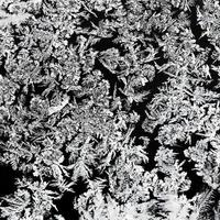 snowflakes and frost pattern on glass close up photo