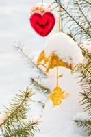 Christmas tree decorations on tree under snow outdoor photo