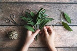 Sage leaf bundle in hands, hemp string and scissors on old wooden table photo