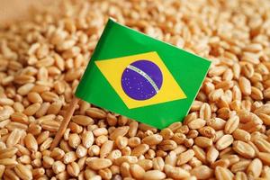 Brazil on grain wheat, trade export and economy concept. photo