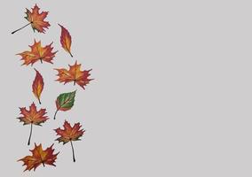 Autumn leaves on white background. Space for text. Change of season concept photo