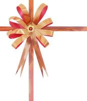 gift ribbon and bow Isolated on white background photo