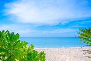 Frame of green leaves on a tropical sea beach background in Summer concept photo