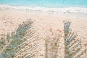shadows palm leaf on beach texture background.summer concept photo