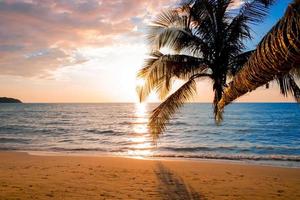 Beautiful sunset tropical beach with palm tree and blue sky for travel in holiday relax time, photo style vintage