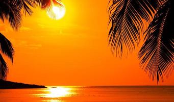 Beautiful sunset tropical beach with palm tree and pink sky for travel and vacation in holiday relax time photo