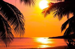 Beautiful sunset tropical beach with palm tree and pink sky for travel and vacation in holiday relax time photo