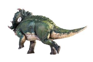 dinosaurio , sinoceratops trazado de recorte de fondo aislado