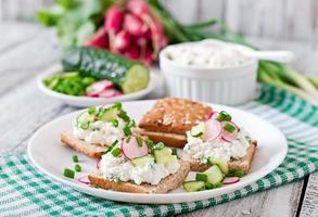 Sandwich with cottage cheese, radish, black pepper and cucumber photo