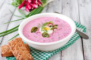 Cold beet soup on yogurt with egg, radishes and cucumbers photo