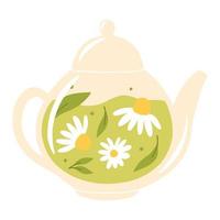 Teapot with green tea and chamomile Herbal tea with chamomile in a glass teapot. Vector illustration. Isolated illustration on a white background. Flat style.