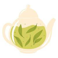 Teapot with green tea. Herbal tea in a glass teapot. Vector illustration. Isolated illustration on a white background. Flat style.