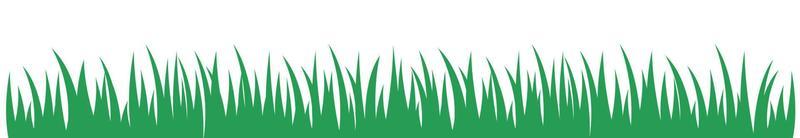 grass field banner vector illustration