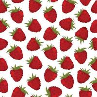 Raspberry seamless pattern, whole berries vector