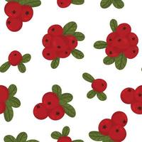 Seamless pattern from lingonberry berries white background vector