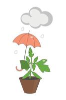 Funny tomato seedlings in a pot. A gray cloud and raindrops over an umbrella. Vector illustration on a white background